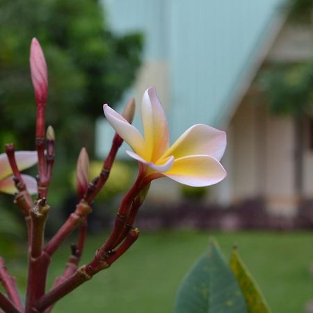 צ'ום טונג Touch Star Resort - Doi Inthanon מראה חיצוני תמונה
