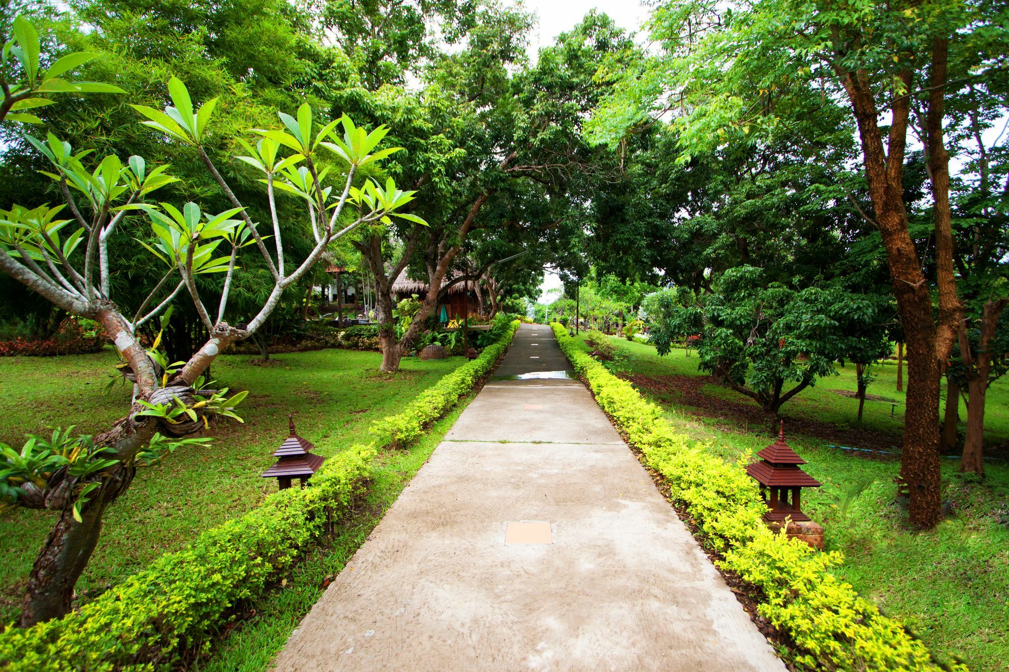 צ'ום טונג Touch Star Resort - Doi Inthanon מראה חיצוני תמונה
