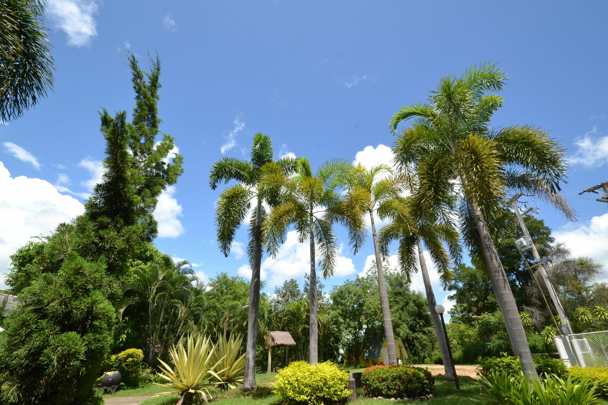 צ'ום טונג Touch Star Resort - Doi Inthanon מראה חיצוני תמונה
